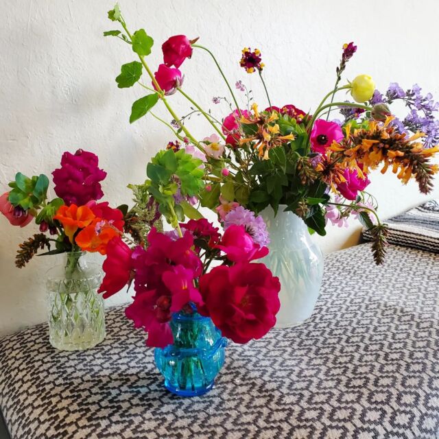 My garden isn't huge, but it's been so generous lately! All of the hot pinks and deep crimson colors mixed with lavender, bright orange and dusty blues...my very favorite colors, shapes and sizes ready for me to make weekly bouquets. 🥰
.
.
.
This week I used hummingbird mint, honeywort, nasturtium, spray roses (3 kinds), petunias, snapdragons, scabiosa, ranunculus, geranium and lunaria.
.
.
.
#apartment46 #gardendesign #gardendesigner #flowers #capitolagardendesign #interiordesigner #capitolainteriordesigner #floraldesign #gardenbouquets #designwithsoul #mygarden